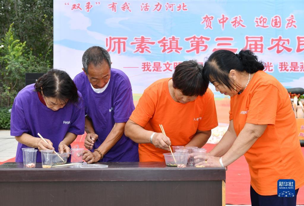 金冠官网平台